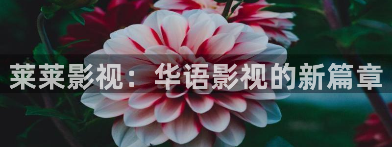 西瓜av电影