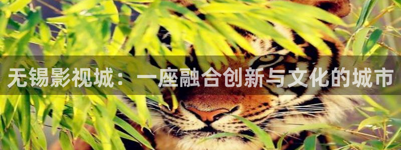 最好看的免费观看视频西瓜