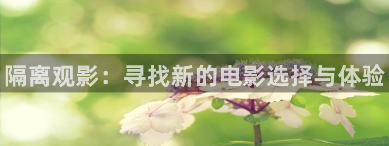 免费看西瓜视频