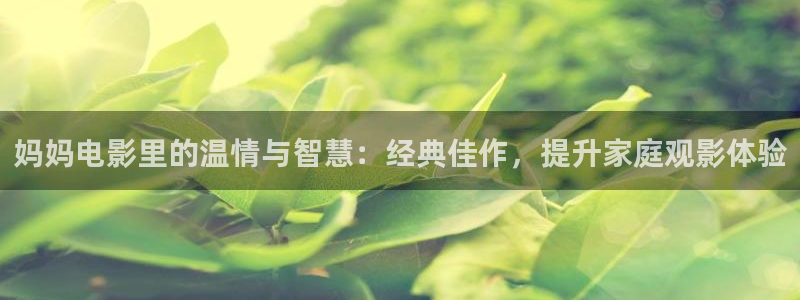情不自禁电视剧免费观看西瓜