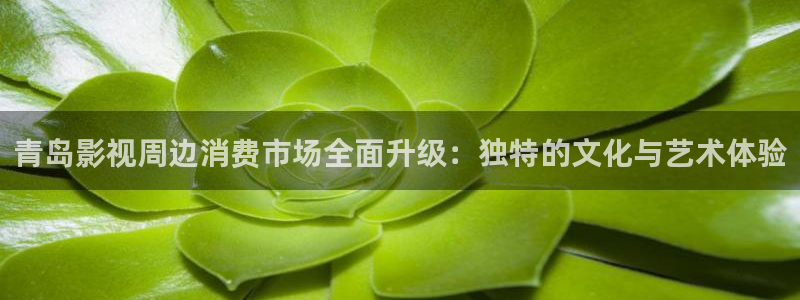 西瓜电影免费观看