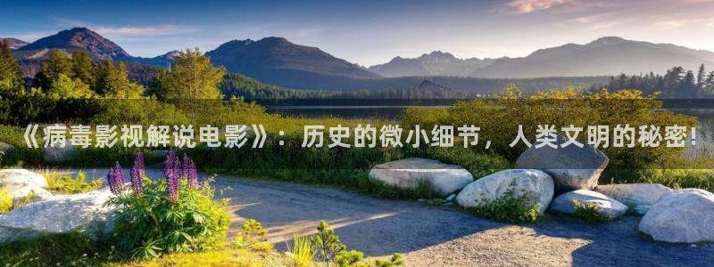 高清西瓜